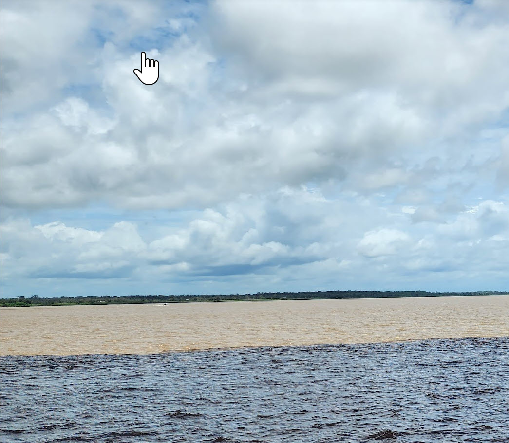 Amazon and Black river line